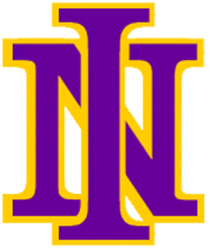 Northern Iowa Panthers 1981-2000 Primary Logo diy DTF decal sticker